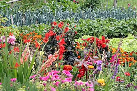 MIXED_FLOWER_AND_VEGETABLE_COUNTRY_GARDEN