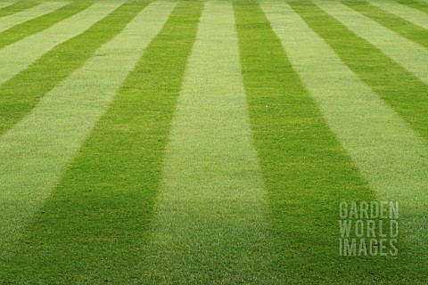 STRIPED_LAWN