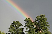 RAINBOW OVER PARK IN CAMBRIDGE