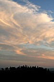 TUSCANY HILL IN SUNSET, ITALY