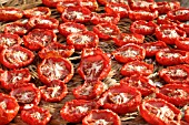 TOMATOES DRYING OUTDOOR IN THE SUN