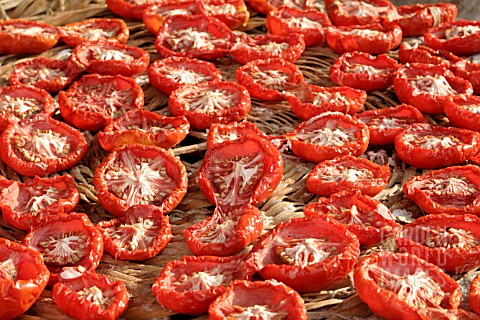 TOMATOES_DRYING_OUTDOOR_IN_THE_SUN