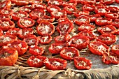 TOMATOES DRYING OUTDOOR IN THE SUN