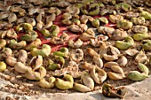 FIGS DRYING OUTDOOR IN THE SUN, LEBANON