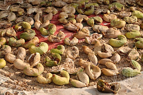 FIGS_DRYING_OUTDOOR_IN_THE_SUN_LEBANON
