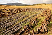 HARVESTED PEAT IN IRELAND