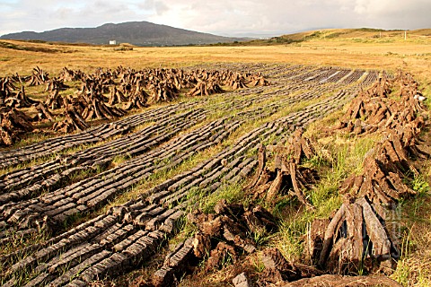 HARVESTED_PEAT_IN_IRELAND