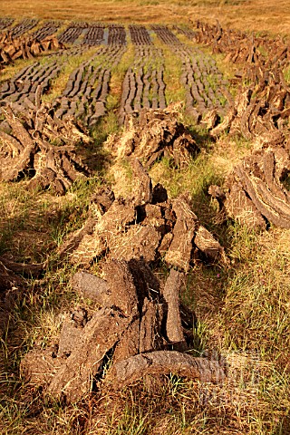 HARVESTED_PEAT_IN_IRELAND