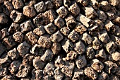 PILE OF PEAT DRYING IN IRELAND