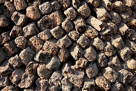 PILE_OF_PEAT_DRYING_IN_IRELAND