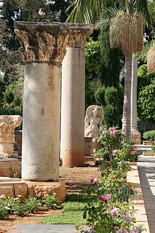 ROSES_IN_THEGARDEN_OF_ROBERT_MOUAWAD_PRIVATE_MUSEUM_IN_BEIRUT