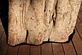 DETAIL OF WOODEN FLOOR/FICUS TREE BASE IN SAMIR KASSIR SQUARE. DESIGNED BY VLADIMIR DJUROVIC AND COMMISSIONED BY SOLIDERE IN DOWNTOWN BEIRUT. WINNER OF AGA KHAN AWARD FOR ARCHITECTURE 2007