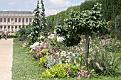 WHITE/PURPLE THEMED BORDER, JARDIN DES PLANTES, PARIS