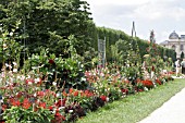 RED AND WHITE THEMED BORDER, JARDIN DES PLANTES, PARIS