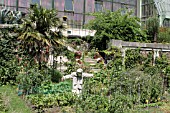 LE POTAGER PEDAGOGIQUE, JARDIN DES PLANTES, PARIS