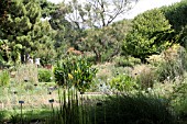 LA TOURBIERE,  JARDIN DES PLANTES, PARIS