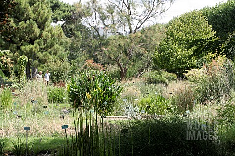 LA_TOURBIERE__JARDIN_DES_PLANTES_PARIS