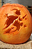 WITCH CARVED IN PUMPKIN