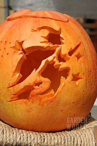 WITCH_CARVED_IN_PUMPKIN