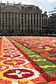 FLOWER CARPET,BRUSSELS, GRAND PLACE, 2008