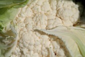 CAULIFLOWER