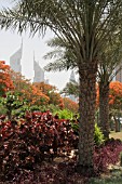 ZABEEL PARK IN DUBAI