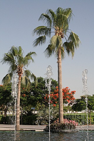 WATER_FEATURE_IN_ZABEEL_PARK_DUBAI