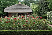 ROSE GARDEN AT MUSEE ET JARDINS VAN BUUREN, BRUSSELS