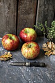 AUTUMN APPLES STILL LIFE