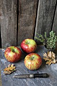 AUTUMN APPLES STILL LIFE