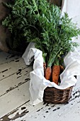 FRESH CARROTS IN BASKET