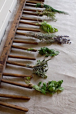 HERB_STILL_LIFE__RACK_WITH_MIXED_HERBS