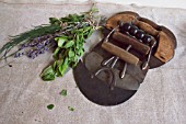 HERB STILL LIFE - MIXED