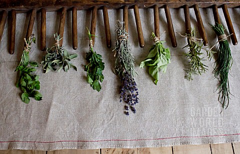 HERB_STILL_LIFE__RACK_WITH_MIXED_HERBS