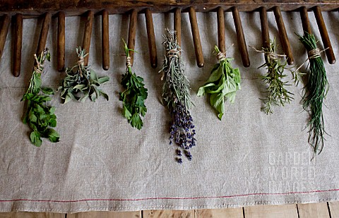 HERB_STILL_LIFE__RACK_WITH_MIXED_HERBS