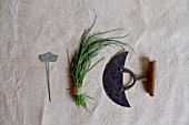 HERB STILL LIFE - CHIVES