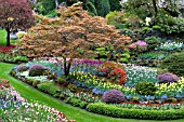 BUTCHART GARDENS IN SPRING, THE SUNKEN GARDEN