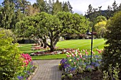 BUTCHART GARDENS IN SPRING