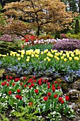 BUTCHART GARDENS IN SPRING