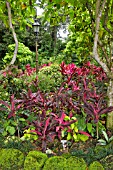 CORDYLINE AND FOLIAGE PLANTINGS AT THE NATIONAL ORCHID GARDEN, SINGAPORE