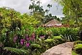 PATH AND FLOWERBEDS AT THE NATIONAL ORCHID GARDEN, SINGAPORE