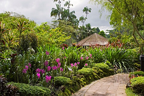 PATH_AND_FLOWERBEDS_AT_THE_NATIONAL_ORCHID_GARDEN_SINGAPORE