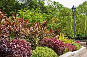 FOLIAGE PLANTS AT THE NATIONAL ORCHID GARDEN, SINGAPORE