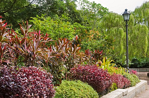 FOLIAGE_PLANTS_AT_THE_NATIONAL_ORCHID_GARDEN_SINGAPORE