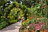 PATH AT THE NATIONAL ORCHID GARDEN, SINGAPORE