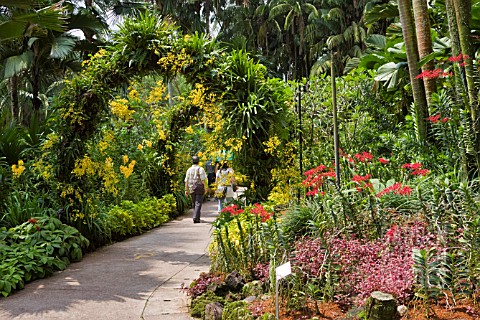 PATH_AT_THE_NATIONAL_ORCHID_GARDEN_SINGAPORE