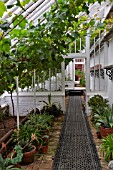 LOST GARDENS OF HELIGAN GLASSHOUSE