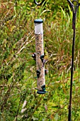 BIRDS ON A FEEDER