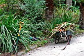 LOST GARDENS OF HELIGAN, PLEASURE GROUNDS