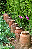 ANTIQUE RHUBARB FORCING POTS